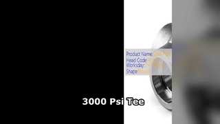 3000 Psi 감소 티 고압 산업용