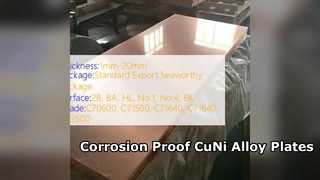 CuNi 90 10 및 70 30 합금 플레이트 부식 방지