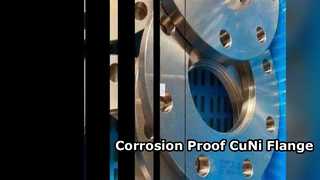 CuNi 70/30 플랜지 화학물질 사용
