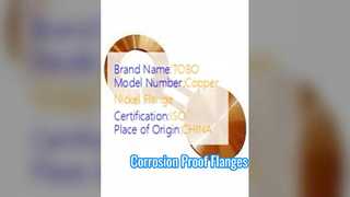 스펙터클 플랜지 구리 니켈 90/10 단조