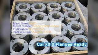 Cui 70 0 SW 플랜지 단조 ASME B6 Cl 0 준비