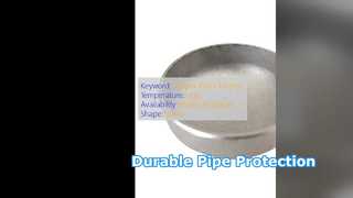 WPB 탄소강 파이프 엔드 캡