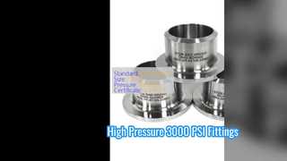 탄소강 스텁 엔드 3000 PSI 랩 조인트 플랜지 피팅