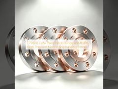 C70600 CuNi Weld Neck 플랜지 고압 해양 솔루션