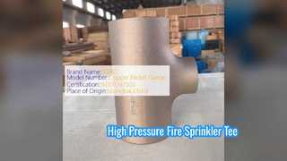연성 철 감소 티 UL FM 등록 300PSI 파이프 피팅