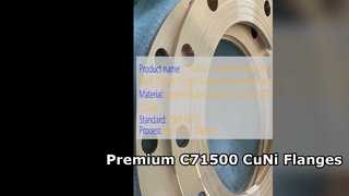 C71500 CuNi 70 30 용접 넥 플랜지 프리미엄 단조 품질
